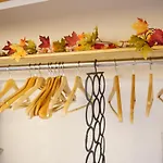 Sakura And Autumn Leaves